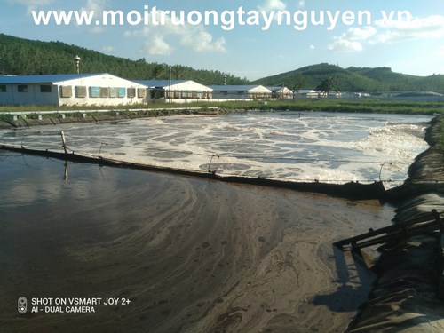 Hệ thống xử lý nước thải trang trại - Chi Nhánh Đắk Lắk - Công Ty TNHH Thương Mại Và Dịch Vụ Môi Trường Việt
